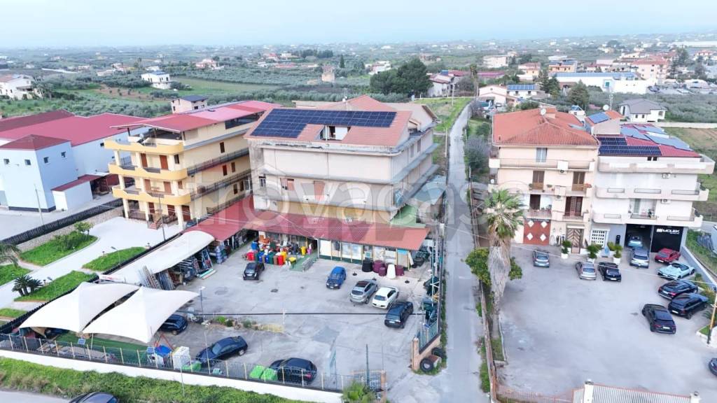 immagine annuncio 12 di 13