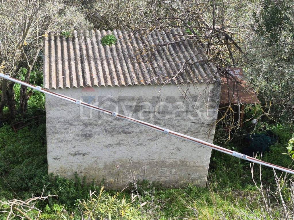 immagine annuncio 1 di 8