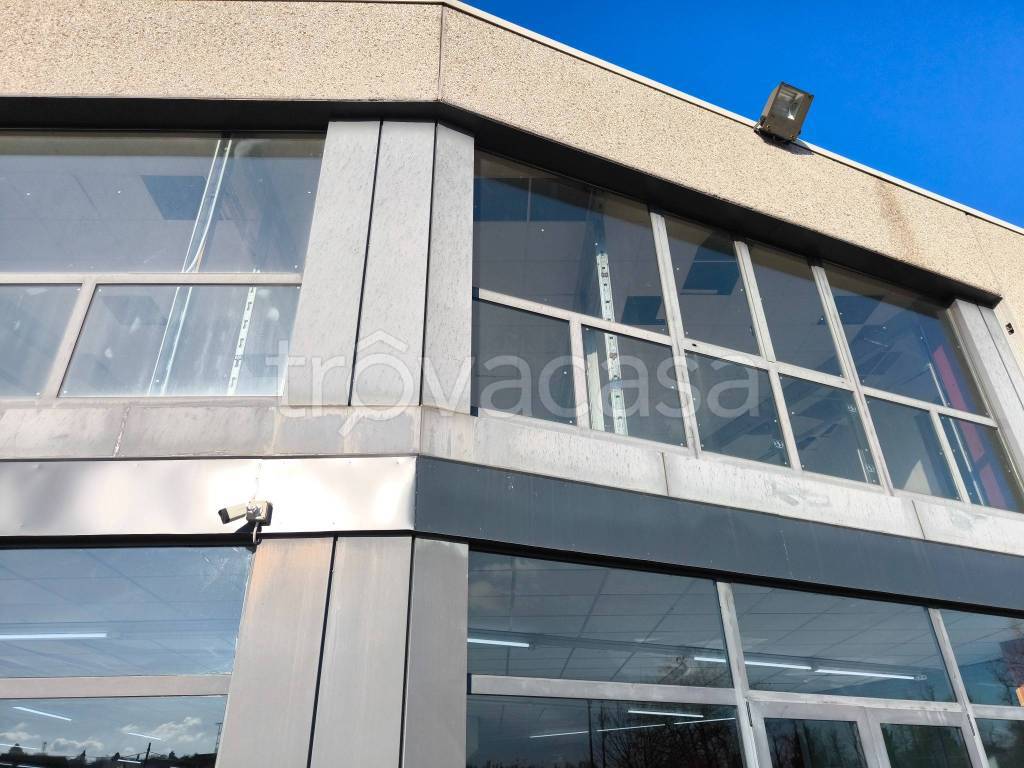 immagine annuncio 1 di 12