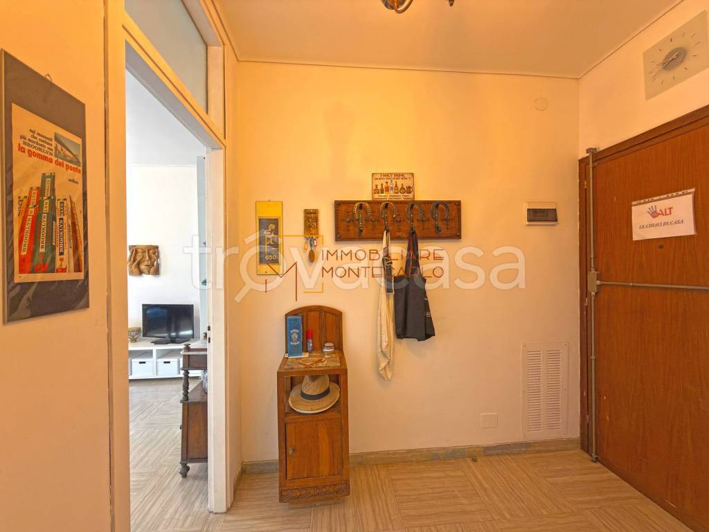 immagine annuncio 8 di 14