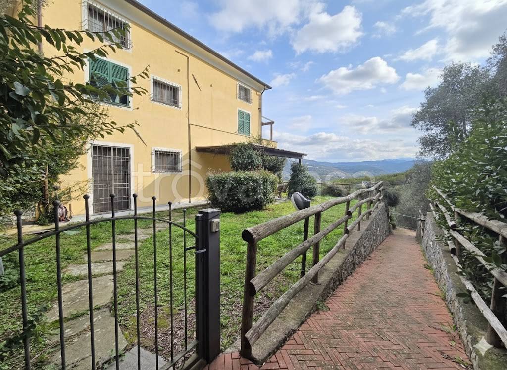 immagine annuncio 3 di 14