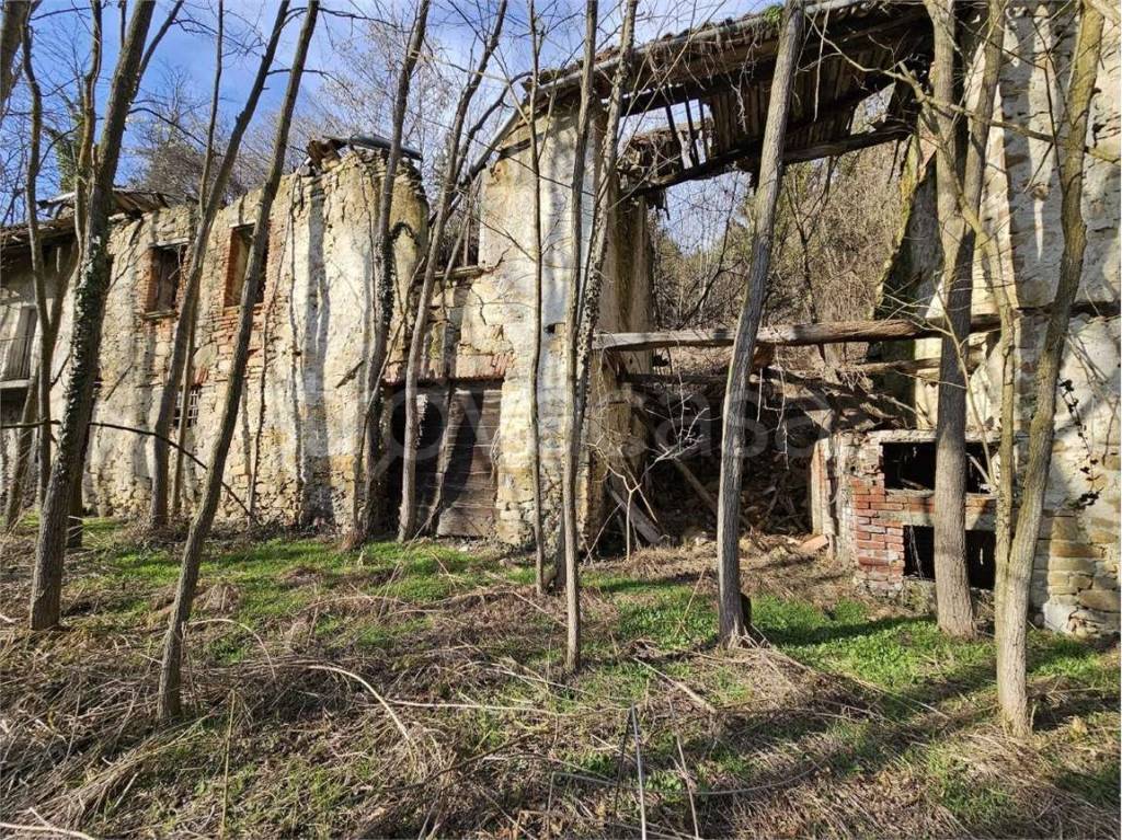 immagine annuncio 12 di 15