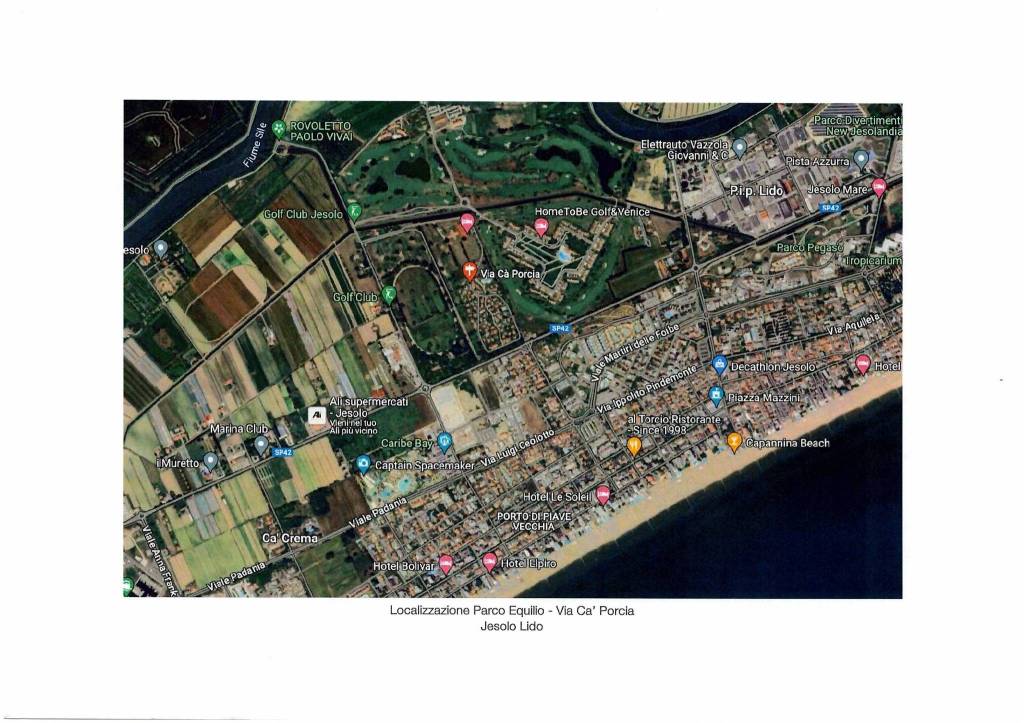 immagine annuncio 10 di 12