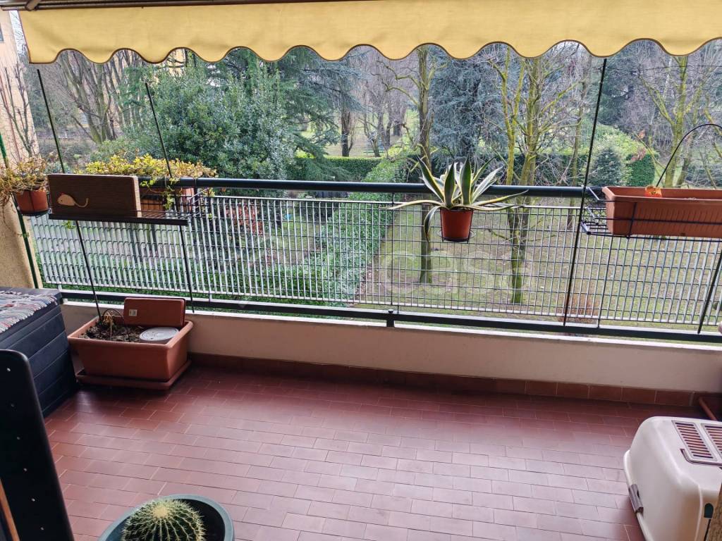 immagine annuncio 3 di 15