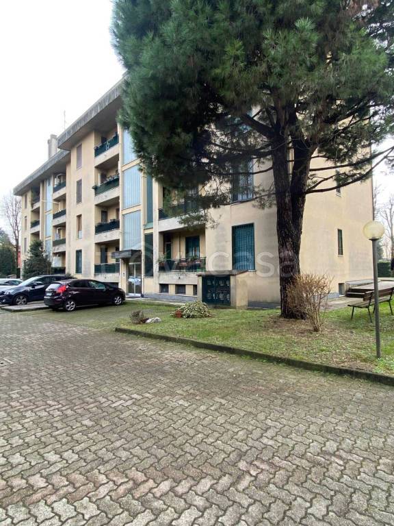 immagine annuncio 5 di 15