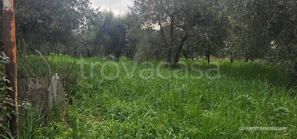 immagine annuncio 4 di 13