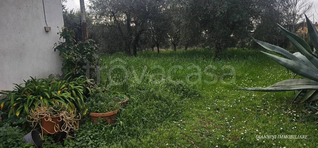 immagine annuncio 5 di 13