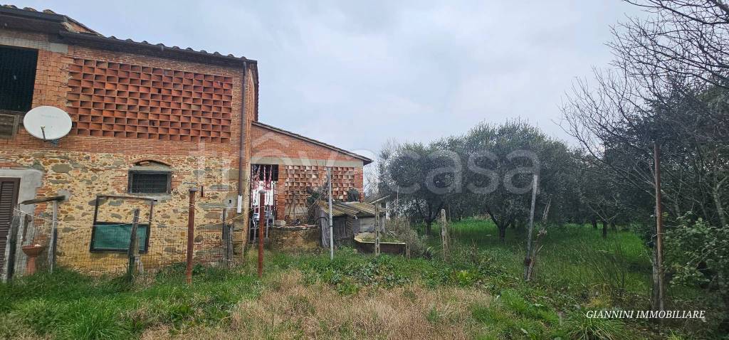 immagine annuncio 12 di 13