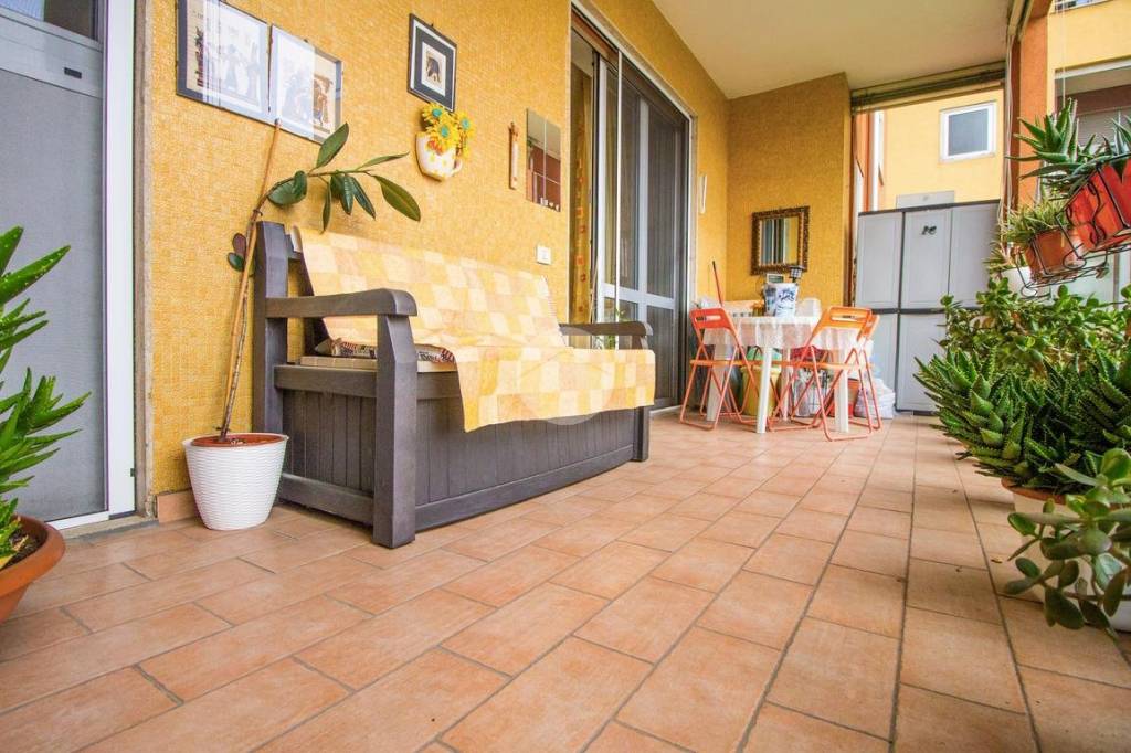 immagine annuncio 12 di 15