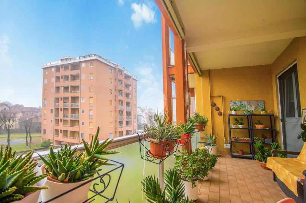 immagine annuncio 13 di 15