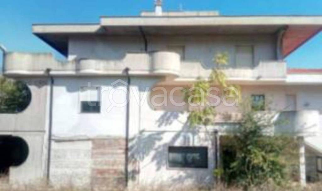 immagine annuncio 4 di 11