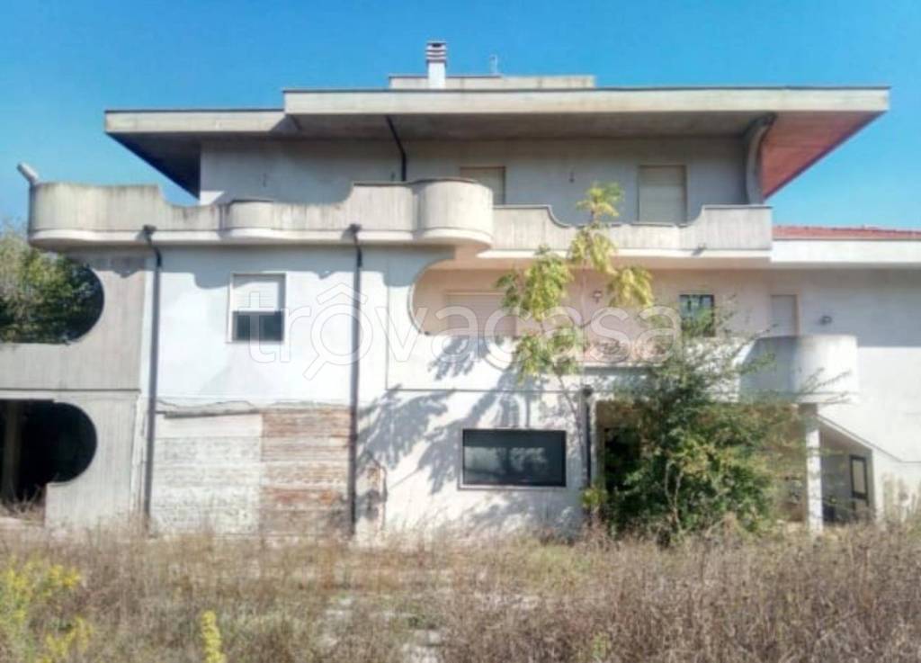 immagine annuncio 5 di 11