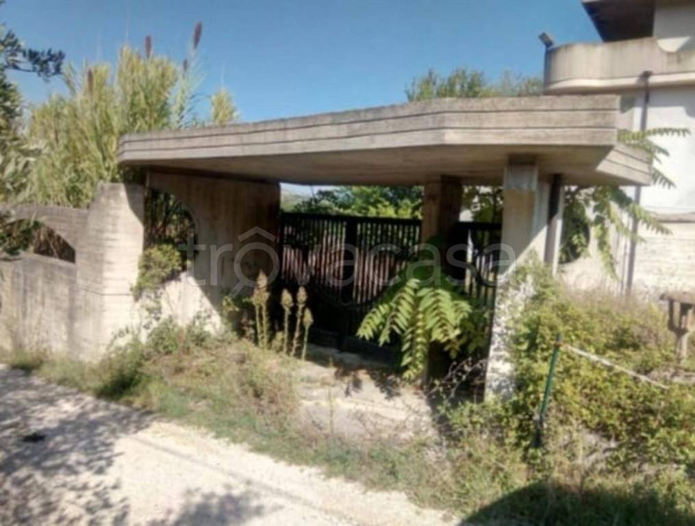 immagine annuncio 10 di 11