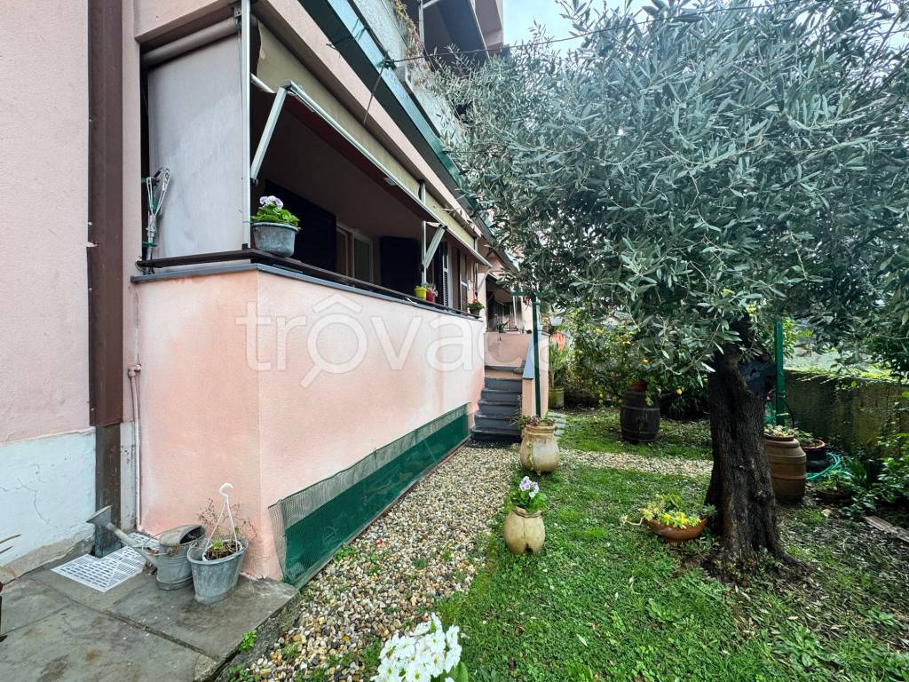 immagine annuncio 2 di 14