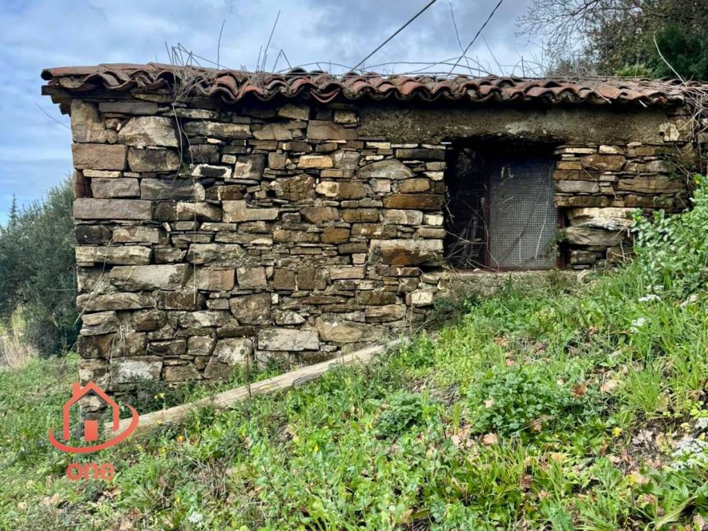 immagine annuncio 3 di 14