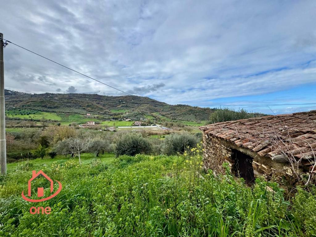 immagine annuncio 5 di 14