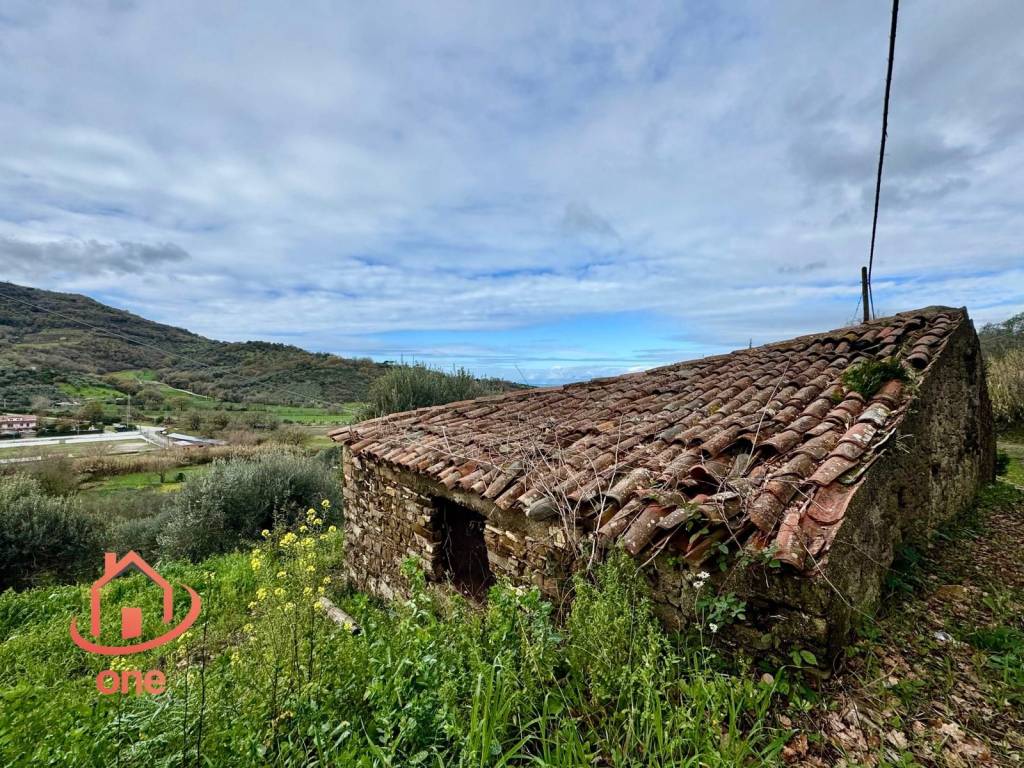 immagine annuncio 1 di 14