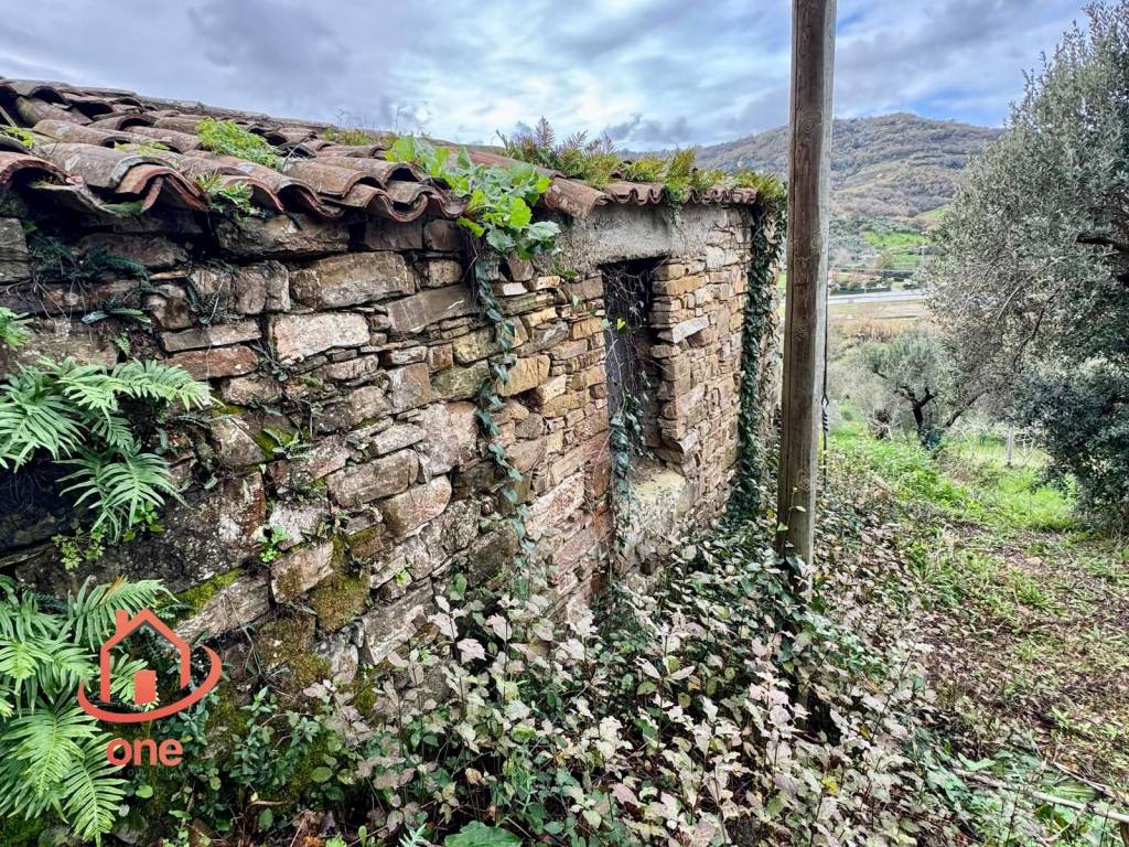 immagine annuncio 12 di 14