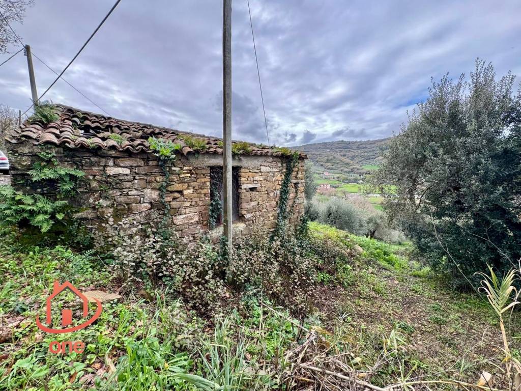 immagine annuncio 13 di 14