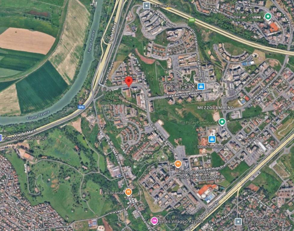 immagine annuncio 6 di 15