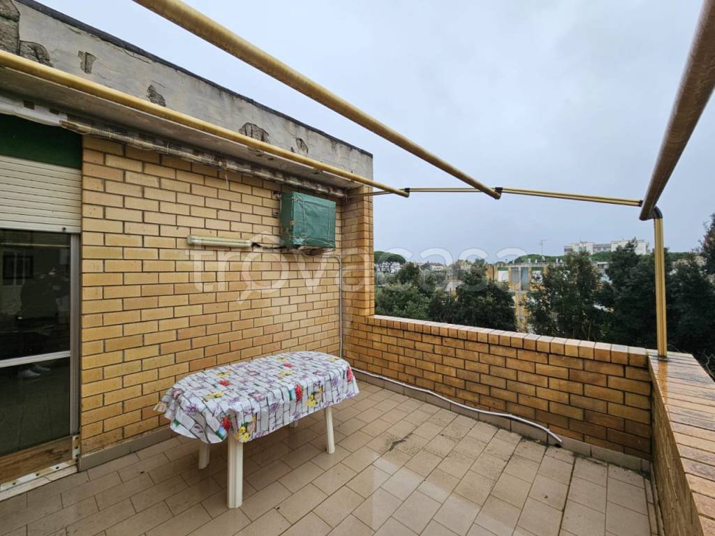 immagine annuncio 2 di 12