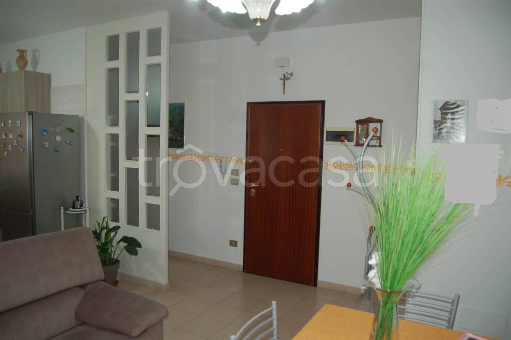 immagine annuncio 2 di 14