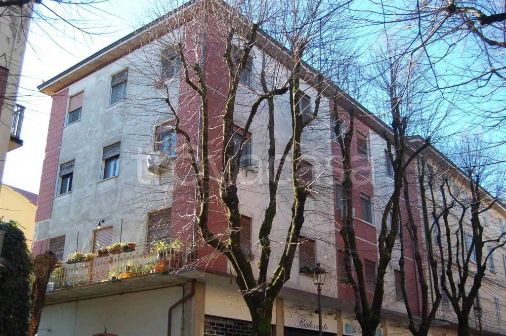 immagine annuncio 12 di 14