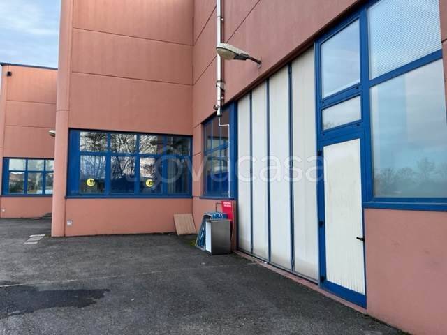 immagine annuncio 1 di 9