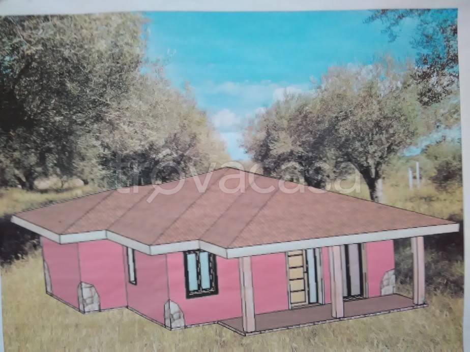 immagine annuncio 2 di 4