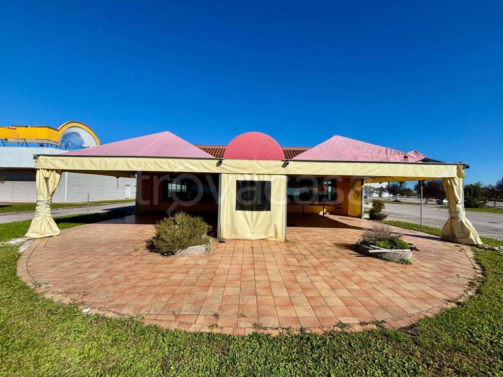 immagine annuncio 1 di 12