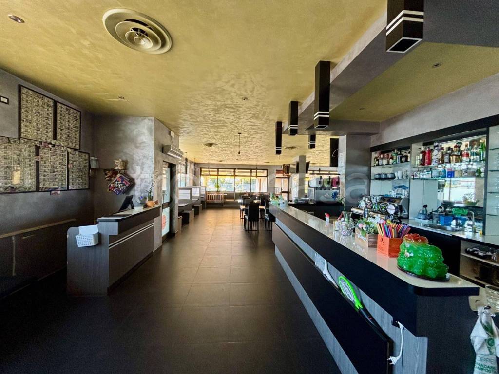 immagine annuncio 6 di 12