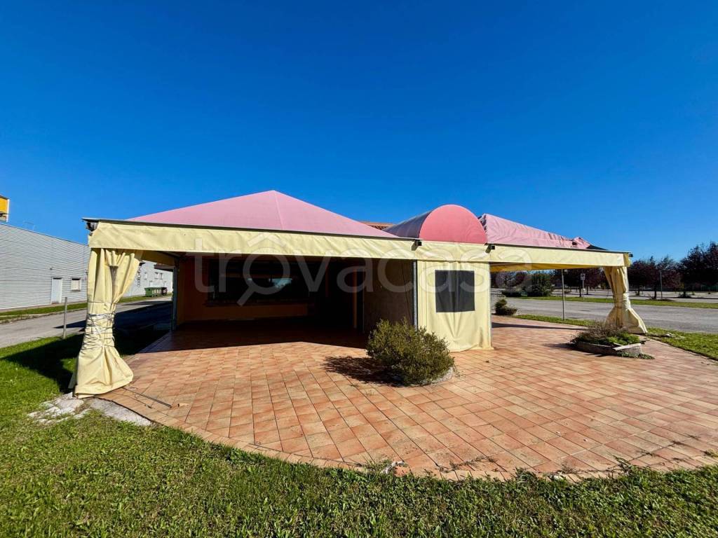 immagine annuncio 11 di 12