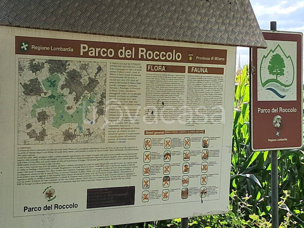 immagine annuncio 4 di 5