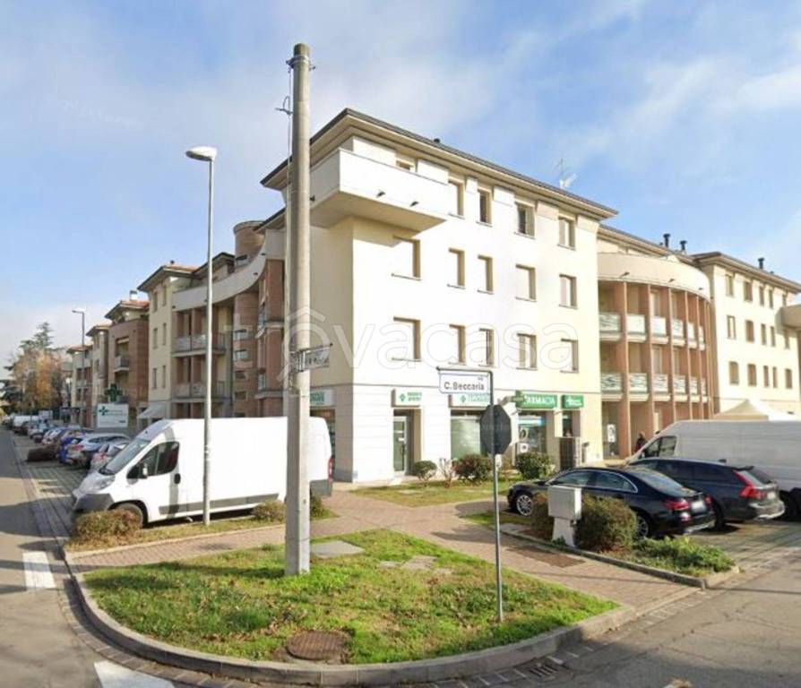 immagine annuncio 5 di 12