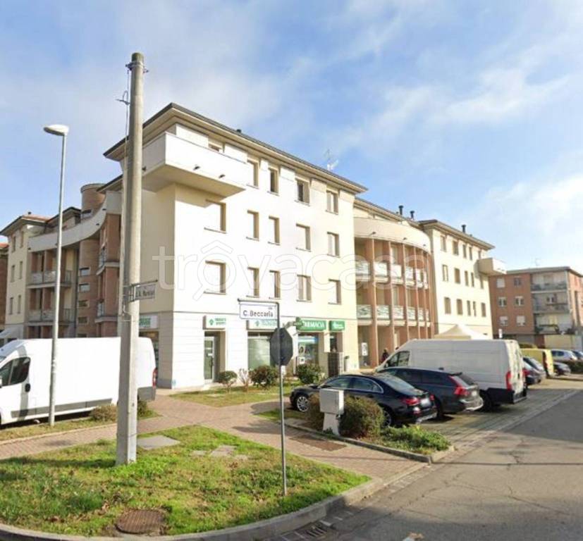 immagine annuncio 5 di 12