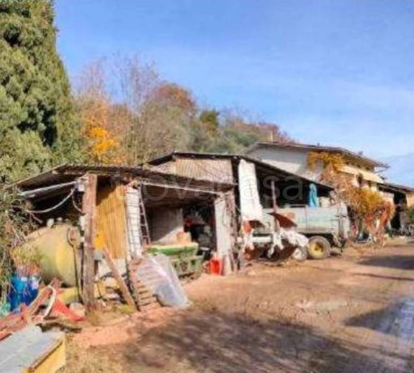 immagine annuncio 4 di 11