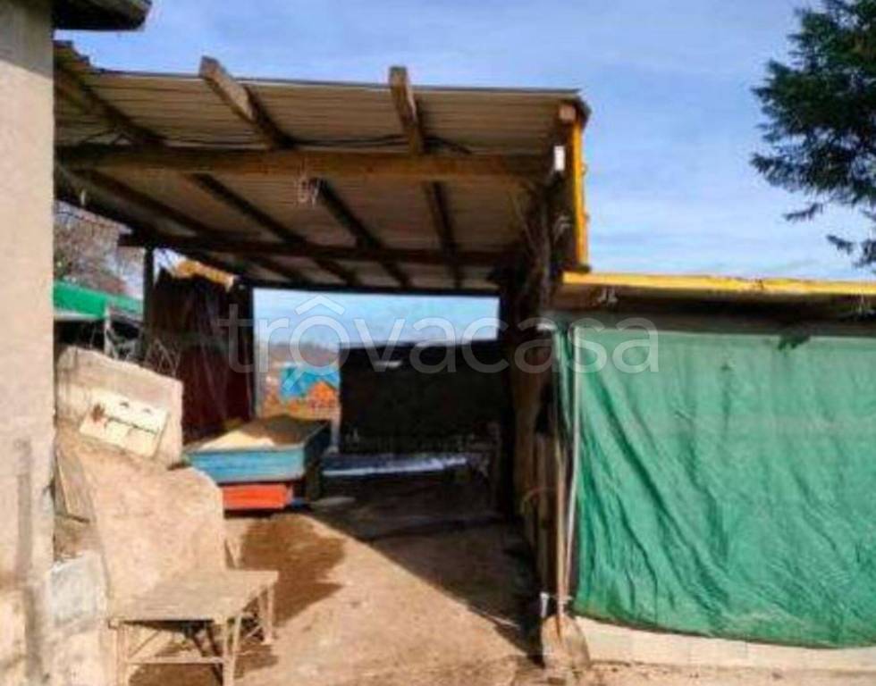 immagine annuncio 6 di 11