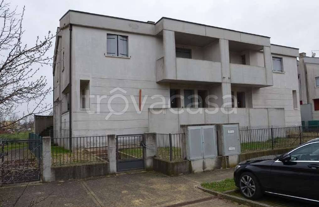 immagine annuncio 2 di 13