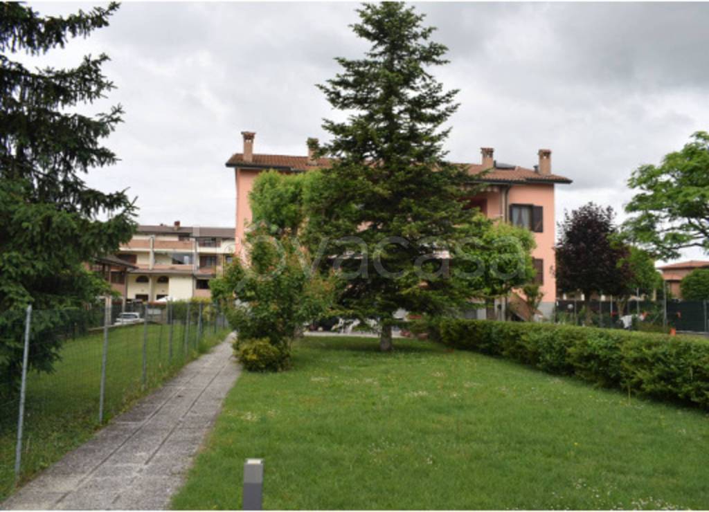 immagine annuncio 5 di 11