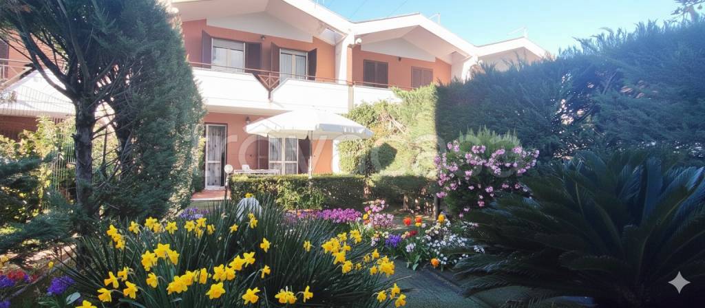 immagine annuncio 2 di 15