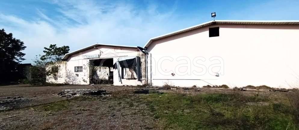 immagine annuncio 5 di 9