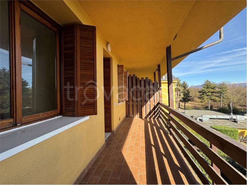 immagine annuncio 2 di 14