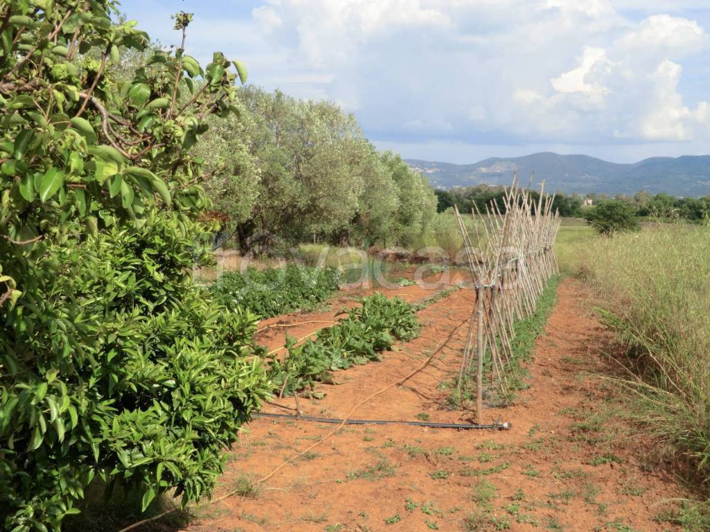 immagine annuncio 3 di 14