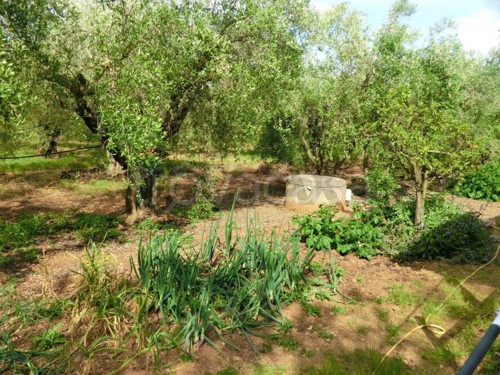 immagine annuncio 6 di 14