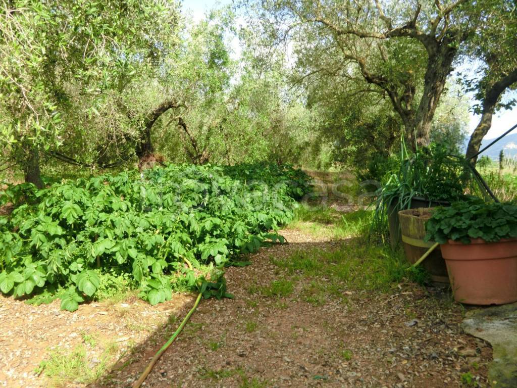 immagine annuncio 8 di 14