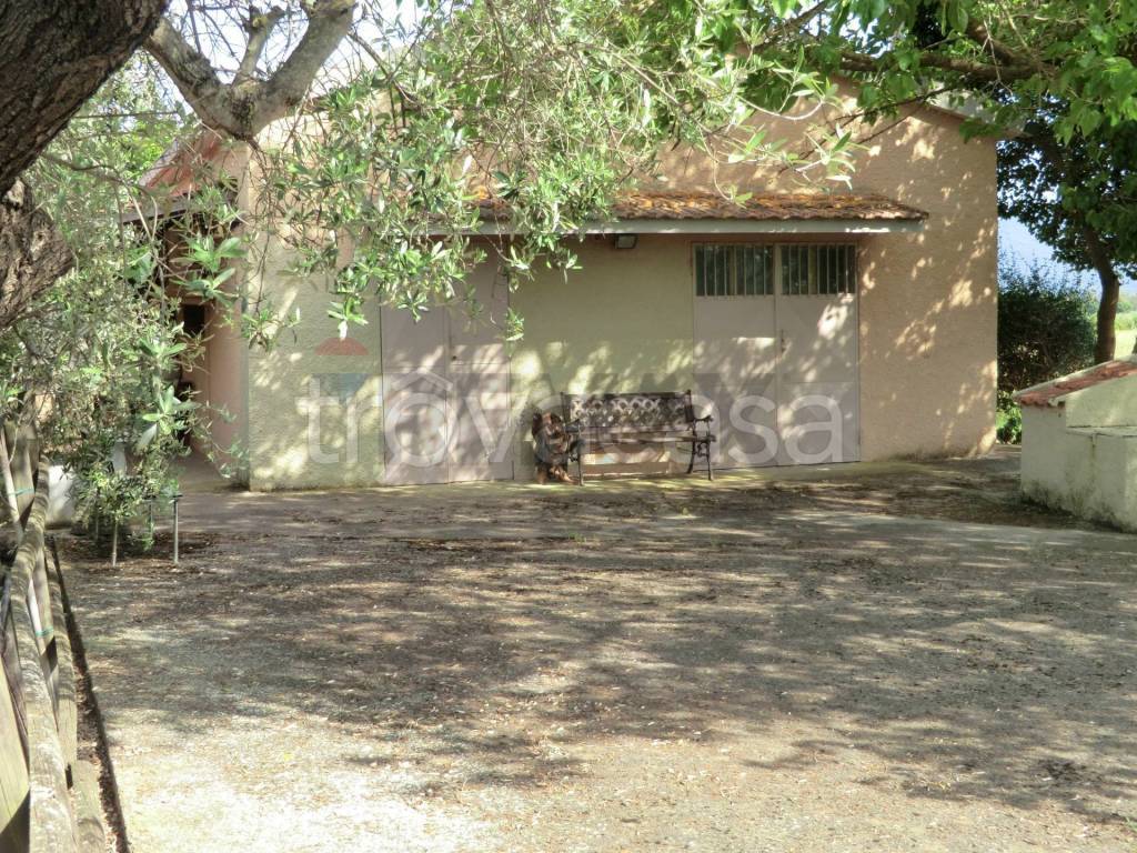 immagine annuncio 11 di 14