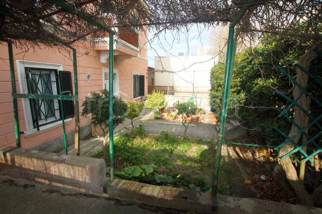 immagine annuncio 2 di 13