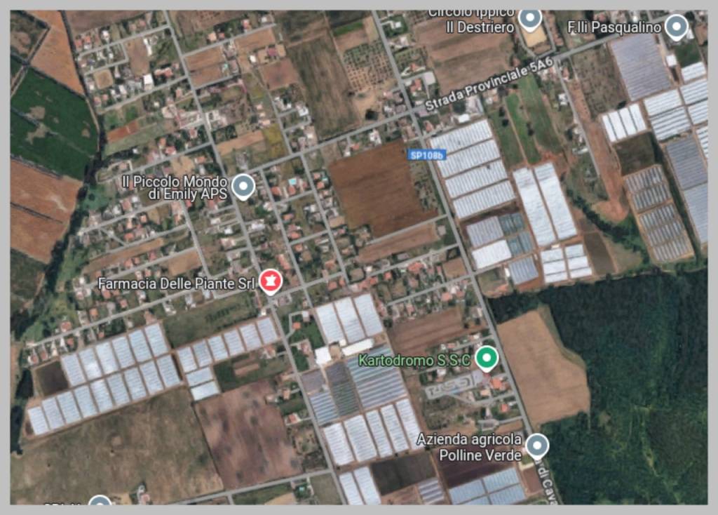 immagine annuncio 12 di 15