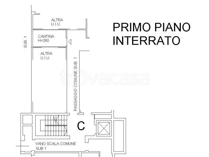 immagine annuncio 12 di 15