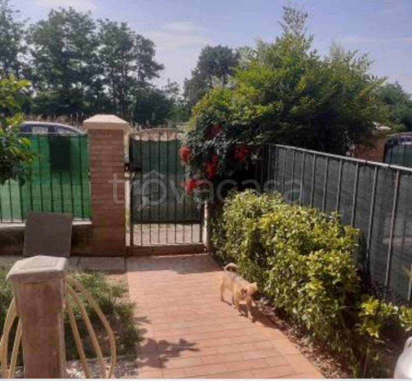 immagine annuncio 7 di 12